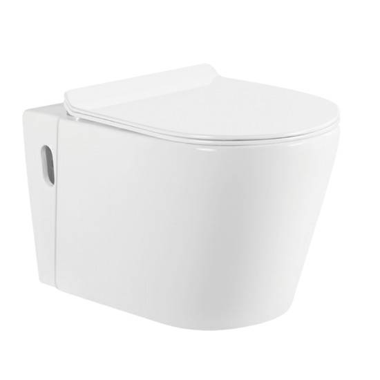 Hecke intelligente Toilette