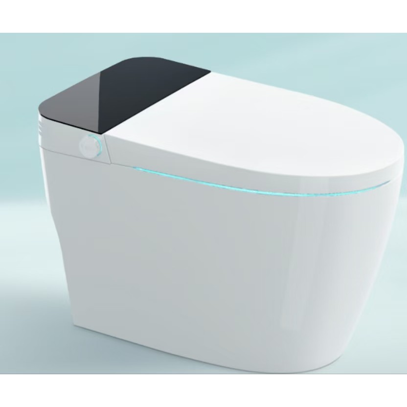 Intelligente Toilette